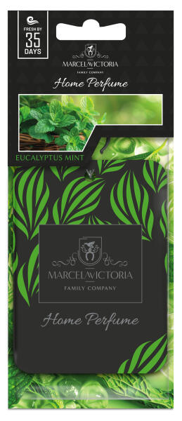 Ароматизатор для авто листочок "M&V Home Paper Freshener" Eucalyptus Mint (Евкаліпт і м'ята Tasotti