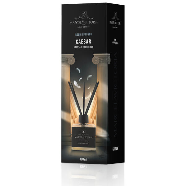 Аромадифузор для дому "Reed Diffuser" Caesar (Цезар) 100мл Marcela&Victoria