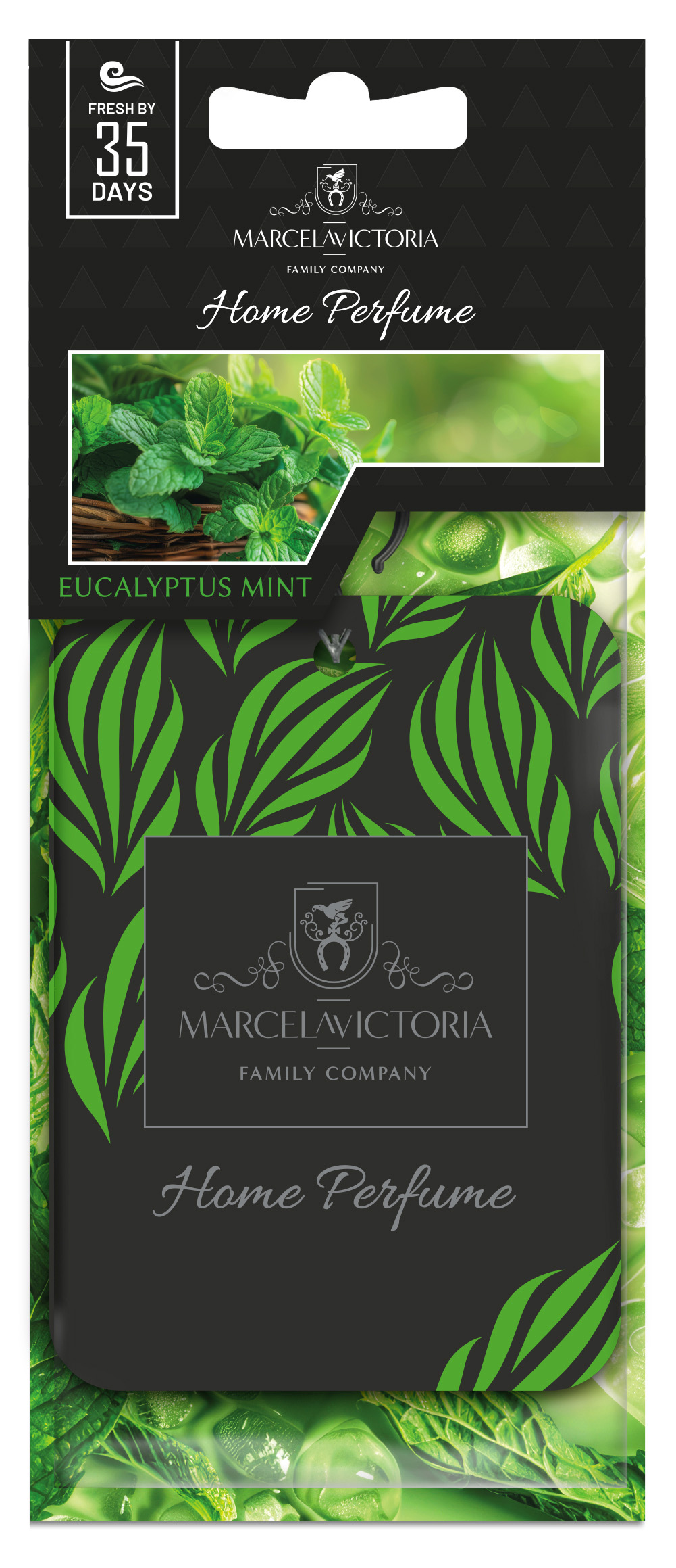 Tasotti   Tasotti "M&V Home Paper Freshener" Eucalyptus Mint